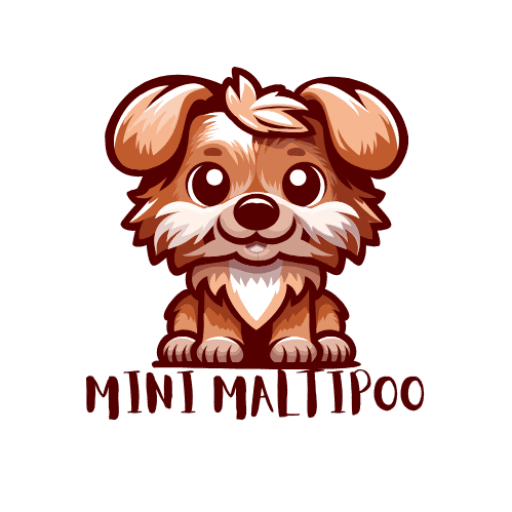 Mini Maltipoo Logo